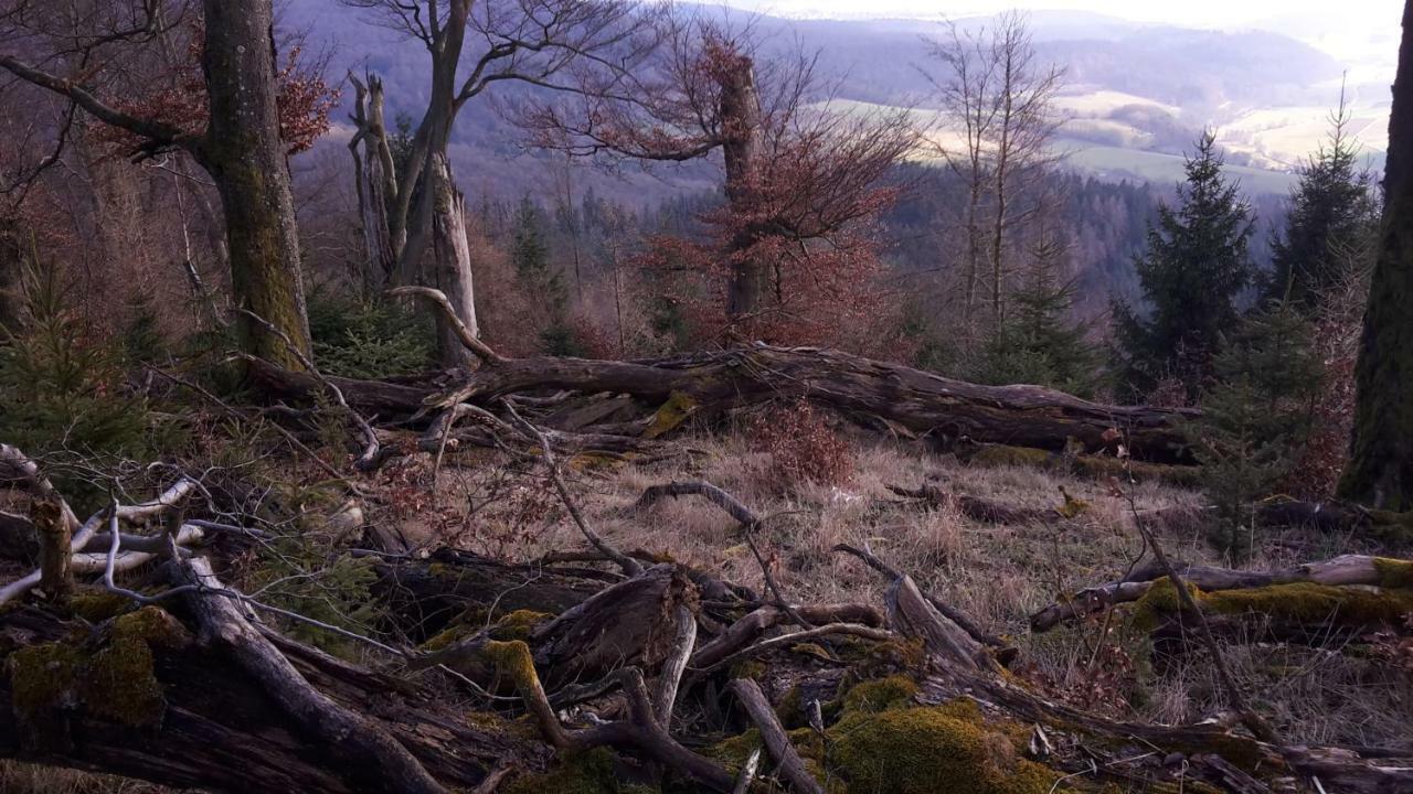Ferienwohnungen Finke Frankenau Экстерьер фото