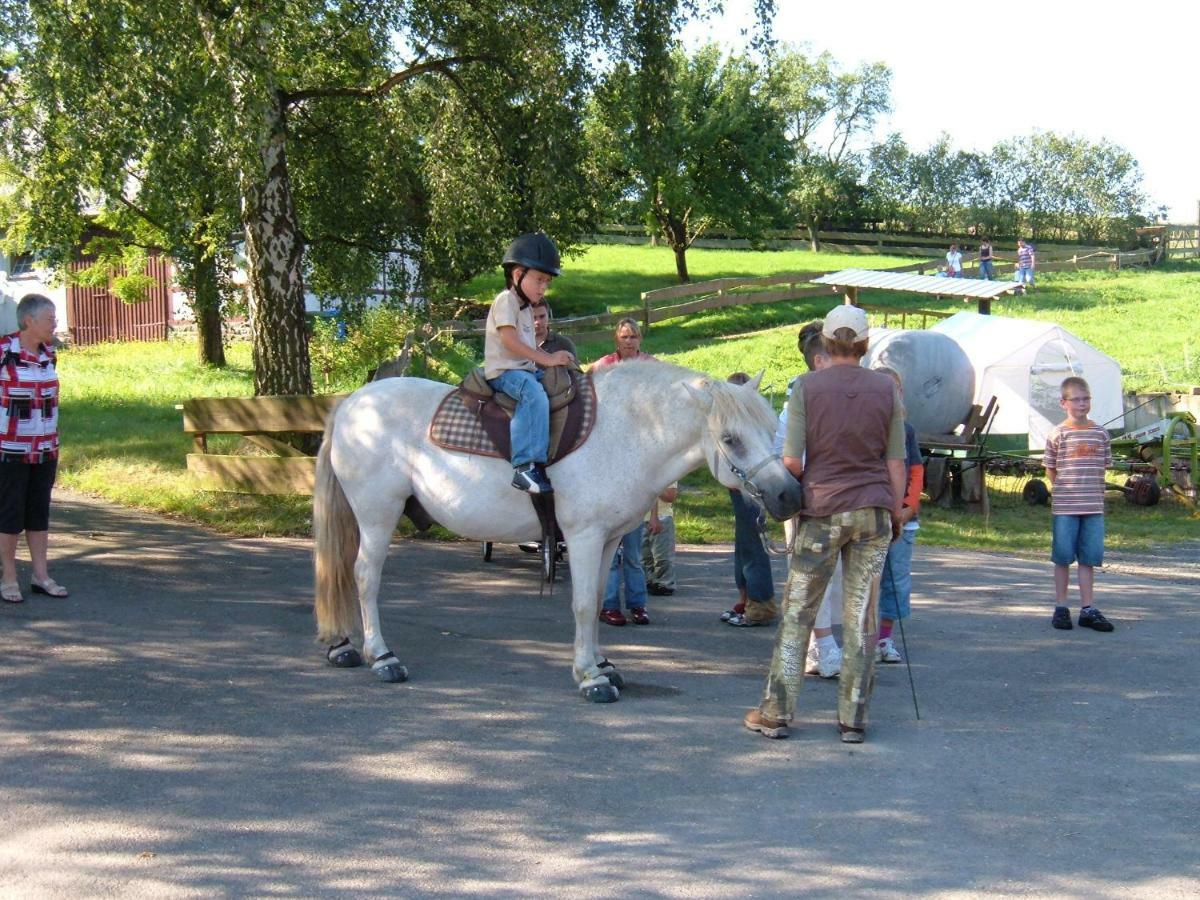 Ferienwohnungen Finke Frankenau Экстерьер фото