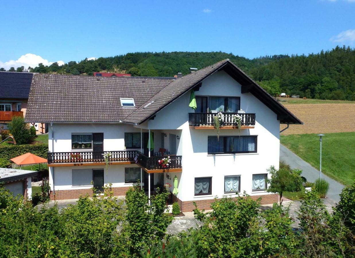 Ferienwohnungen Finke Frankenau Экстерьер фото