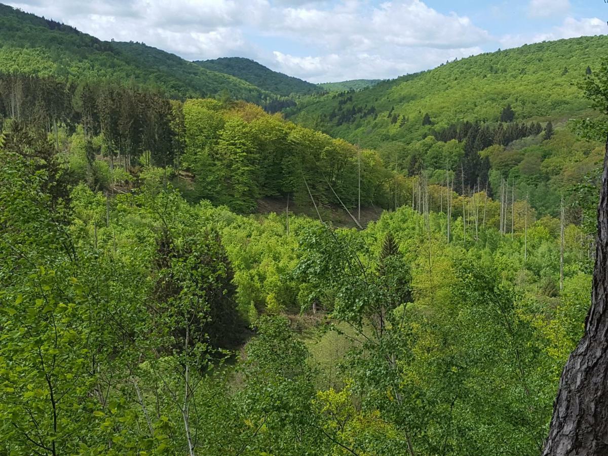 Ferienwohnungen Finke Frankenau Экстерьер фото